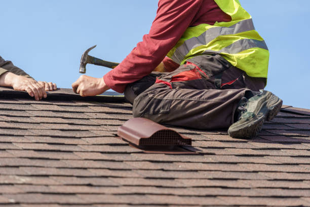 Best Residential Roofing Contractor  in Ladd, IL