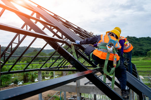 Best Flat Roof Repair Services  in Ladd, IL