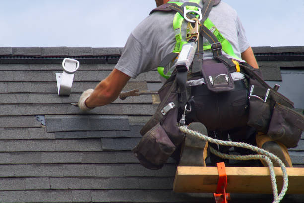 Best Roof Gutter Cleaning  in Ladd, IL