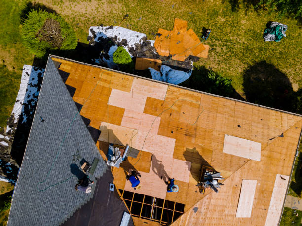 Best Residential Roofing Contractor  in Ladd, IL