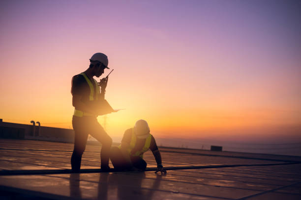 Best Best Roofing Contractors  in Ladd, IL
