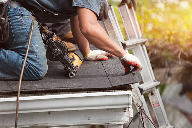 Professional Roofing Contractor in Ladd, IL